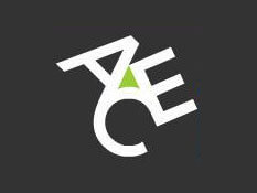 ACE Limited Insurance