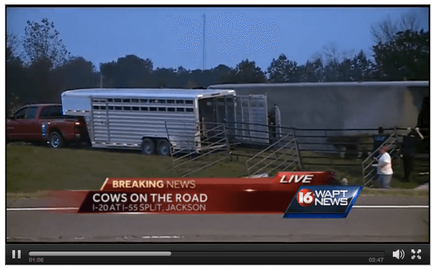 Screenshot via www.wdsu.com