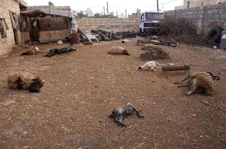 dead livestock