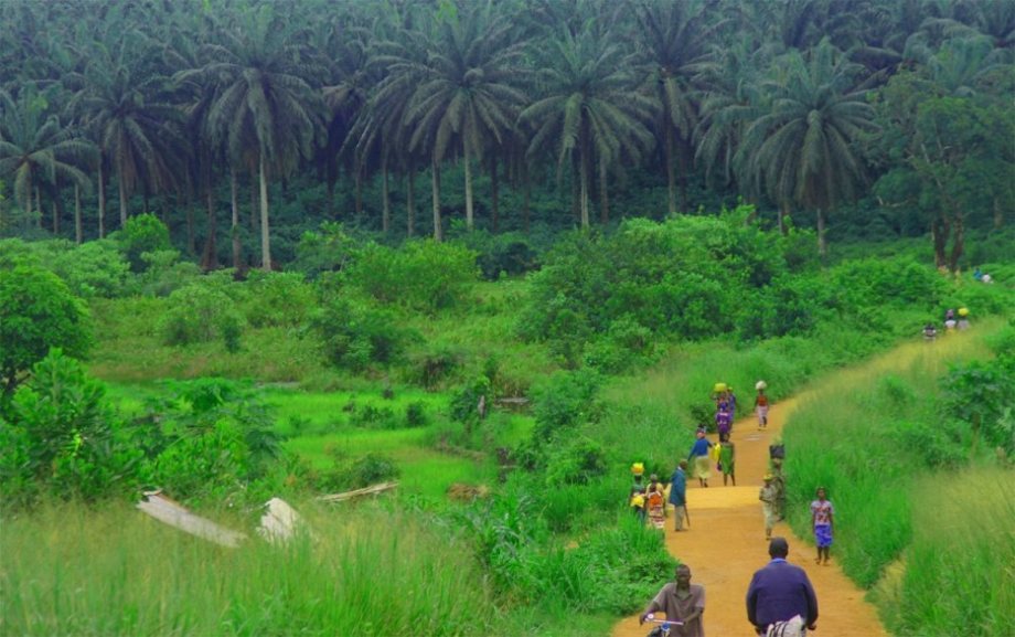 Sierra Leone has the shortest life expectancy in the world.