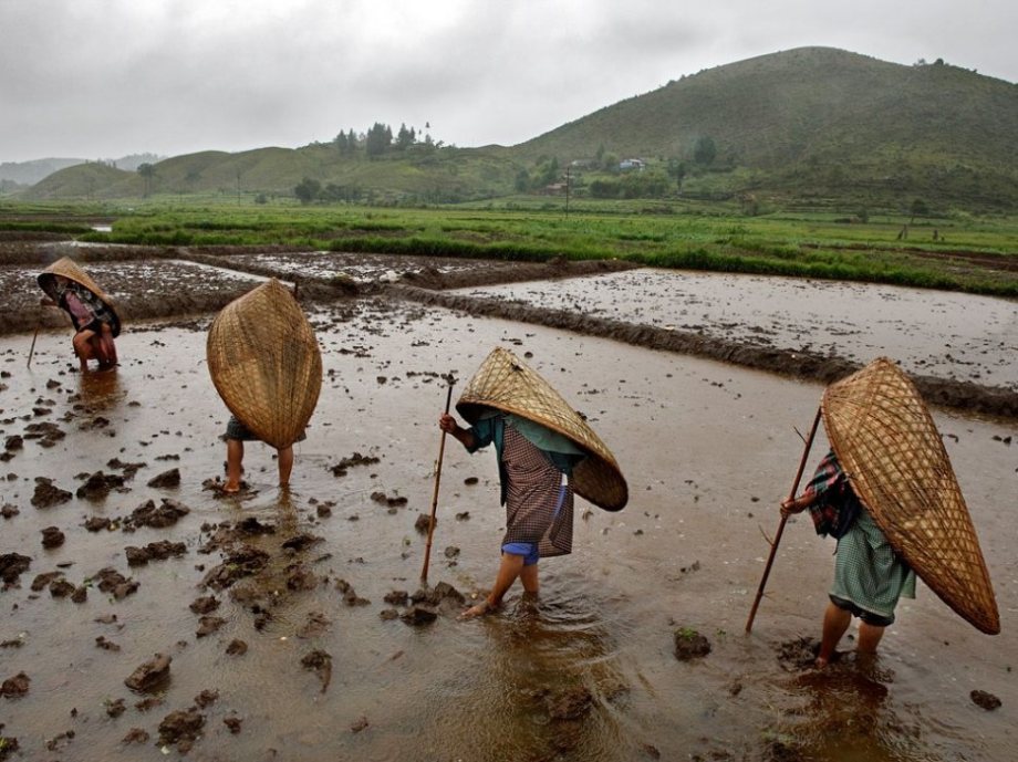 Maysynram, India is the wettest place on Earth.