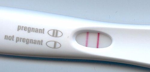 pregnant