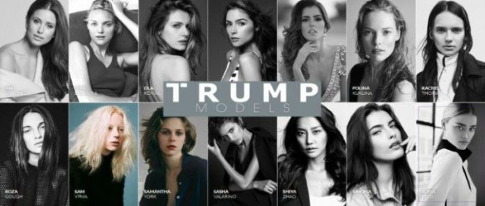 Trump Modeling