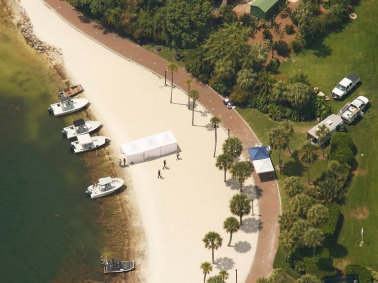 Is Disney Liable for the Alligator Toddler Attack? Is Disney Liable for the Alligator Toddler Attack?