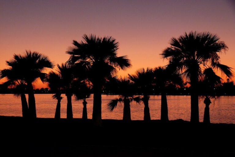 6 Hot Legal Practice Areas in California – 2017