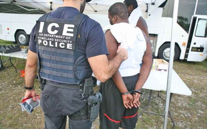 ICE agent