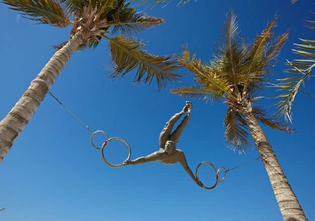 "Circus Act" between Two Palm Trees
