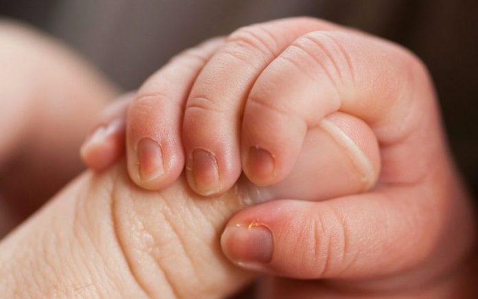 parental leave