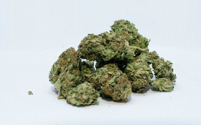 legalize