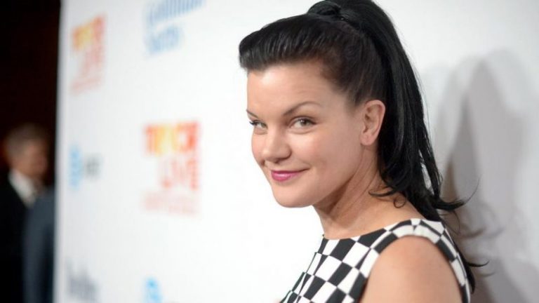 NCIS Star Pauley Perrette Accused of Stalking Ex-Husband