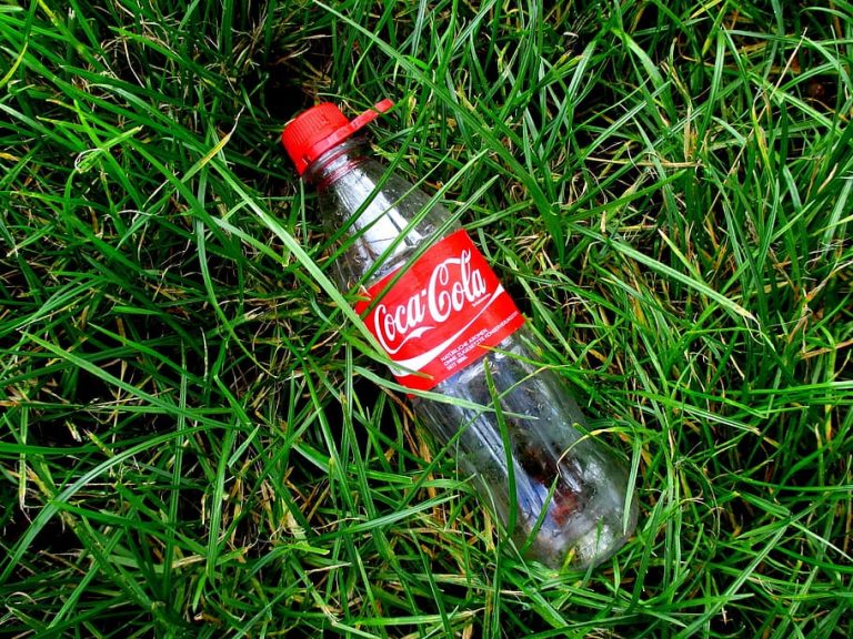 Coke and Pepsi Are Getting Sued for Lying About Recycling