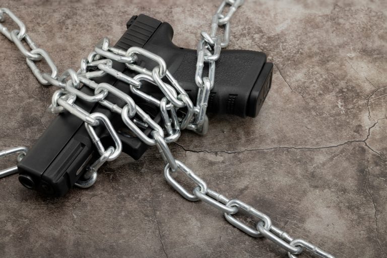 US Federal Court Rules Domestic Violence Gun Ban Unconstitutional