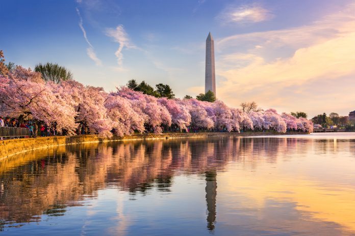 washington dc