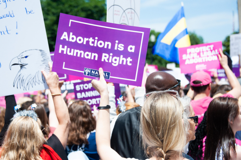 Exploring the Potential Link Between States’ Abortion Laws and the Supreme Court’s Pig-Welfare Decision’