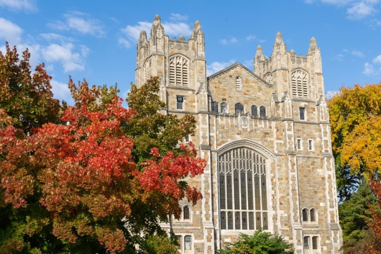 Michigan Law School Applications Prohibit Use of ChatGPT on Essays