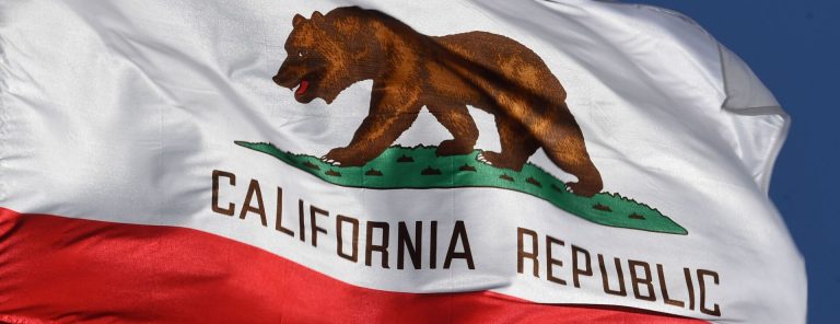 California Introduces Groundbreaking Reproductive Loss Leave Law California Introduces Groundbreaking Reproductive Loss Leave Law