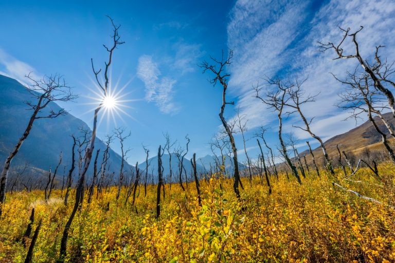 California Enacts Groundbreaking Climate Legislation California Enacts Groundbreaking Climate Legislation