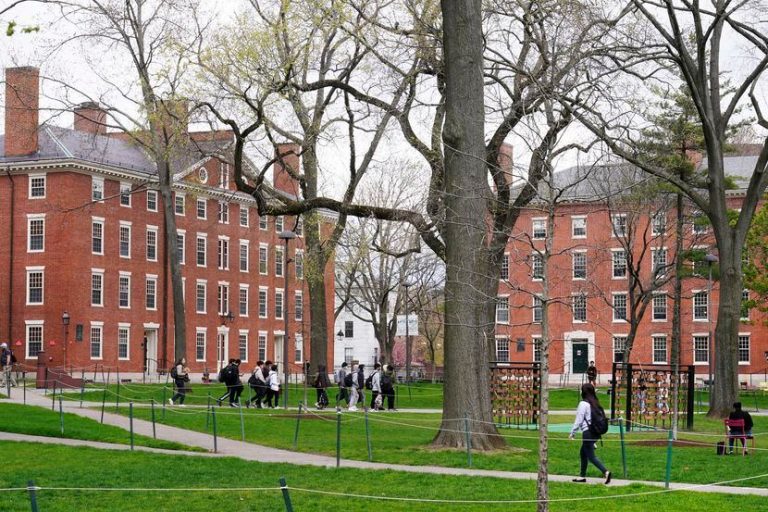 Supreme Court's Affirmative Action Ban: Minority Law School Applicants Defy Predictions