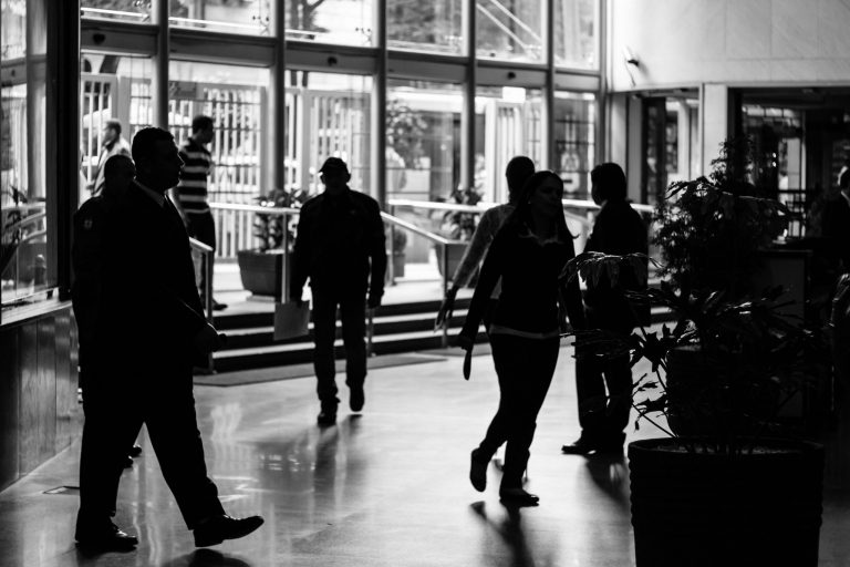 Legal Employment Growth in Top U.S. Firms Slows Amidst Changing Landscape